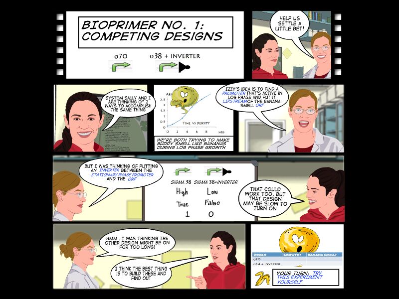 File:Bioprimer no1 02.02.jpg