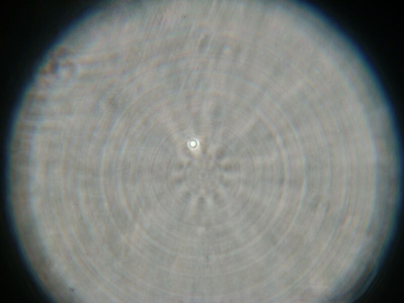 File:IC07 image173.jpg