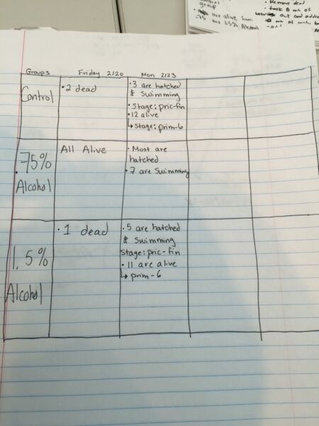 File:IMG 0060-2.jpeg