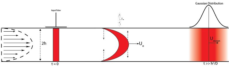 File:Taylor Dispersion image3.PNG