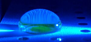 0.5 μg/mL Calf Thymus DNA