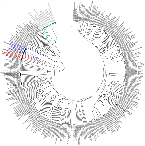 File:Chandra-MAP taxonomy.png