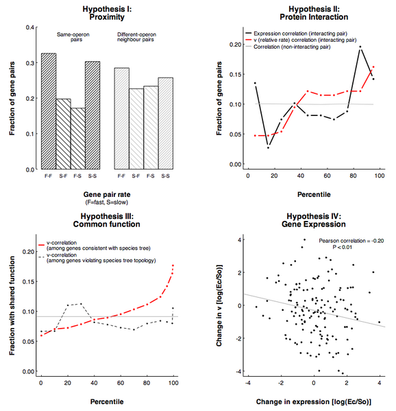 File:FIG2 KHviol sept22.png