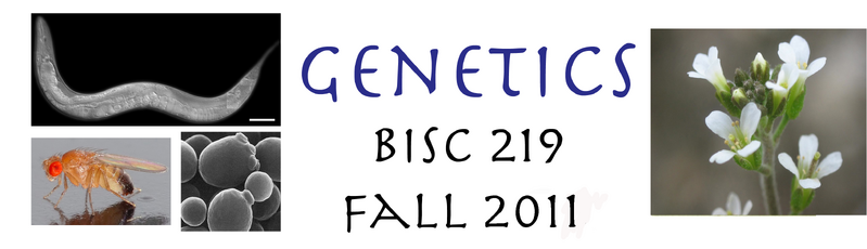 File:Genetics 219 Banner 2011.png