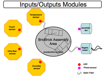 Hands on BioBrick IO modules