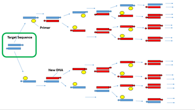 OpenPCR Software Settings.