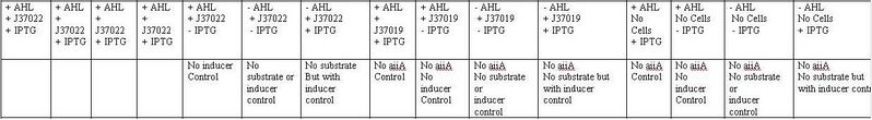 File:Table.JPG