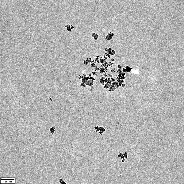 File:20130828 nds amino dna edci 03.jpg