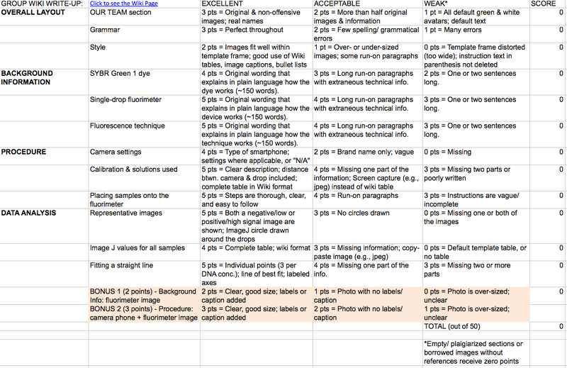 Lab 5 Rubric