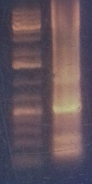 File:20131111 095957 (2).jpg