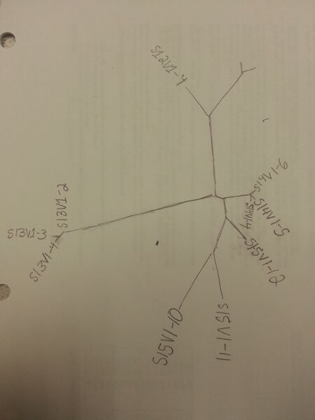 File:20160926 182841.jpg