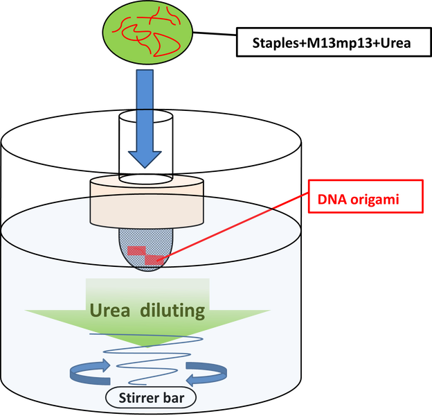 File:Urea-duilting-anealing-AFMimage-01.png