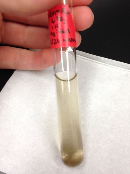 File:110, oven + Au, dAg.jpg