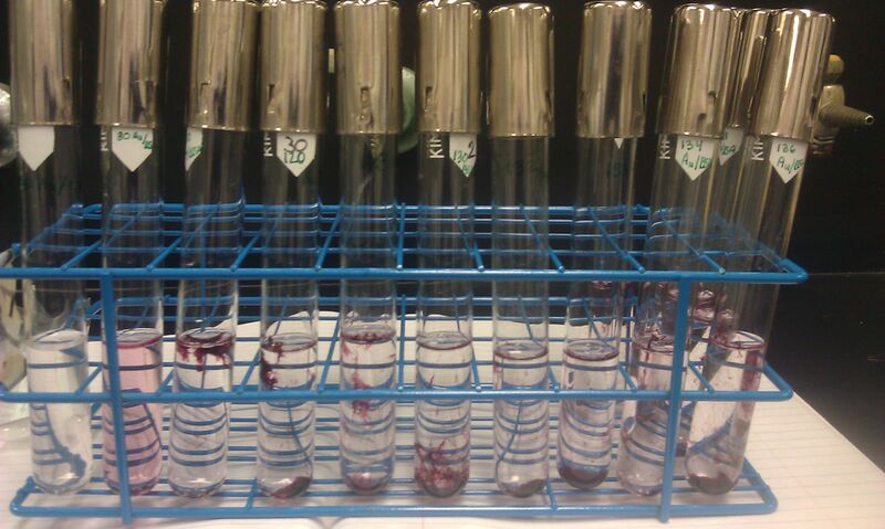 File:20120830 AllSolutions.jpg