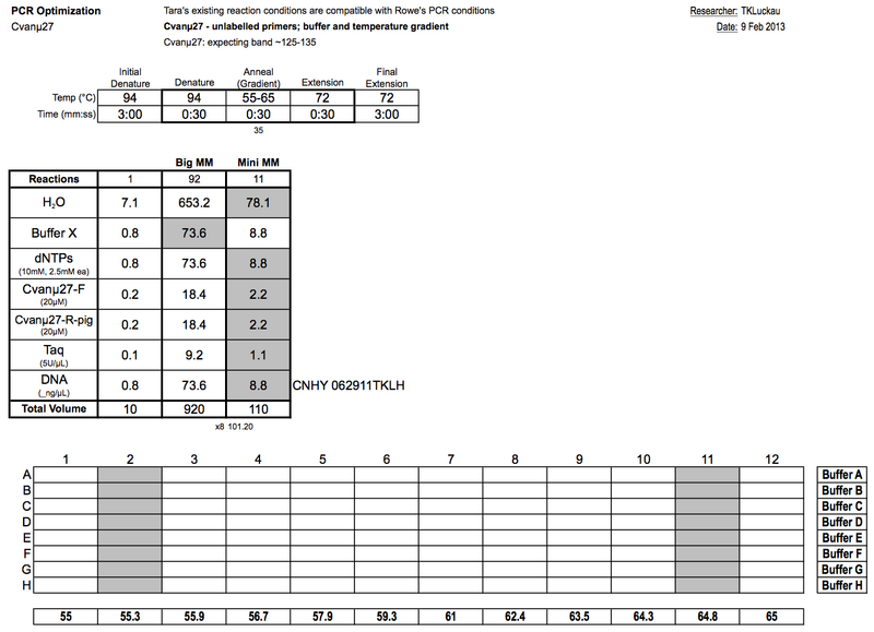 File:20130209 PCRc.png