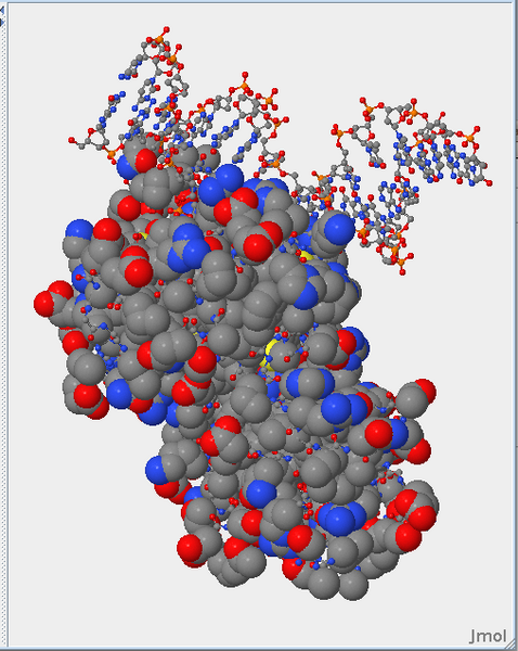 File:IMC.Picture 8.png