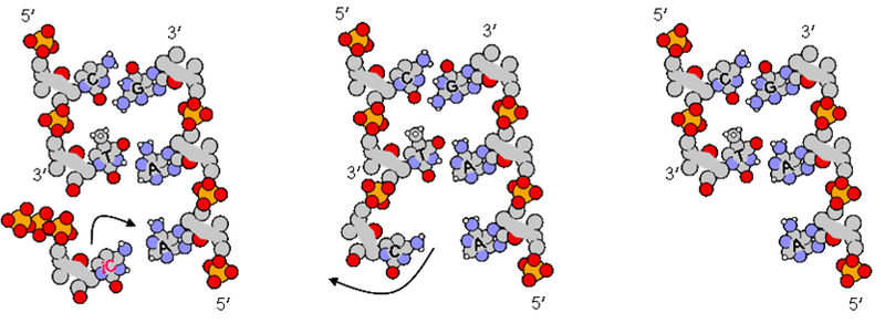 File:Icgems pfread.png