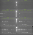 Thumbnail for version as of 21:18, 12 February 2013