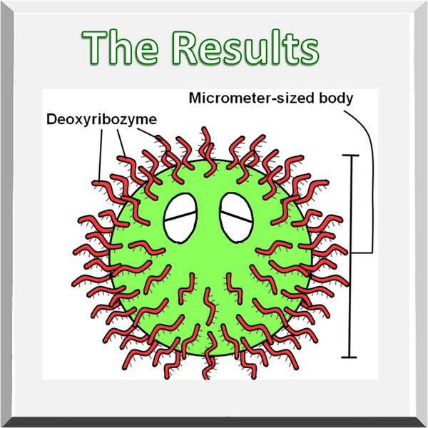 File:BIOMOD Tokyo20111031Result figure ciliate.png