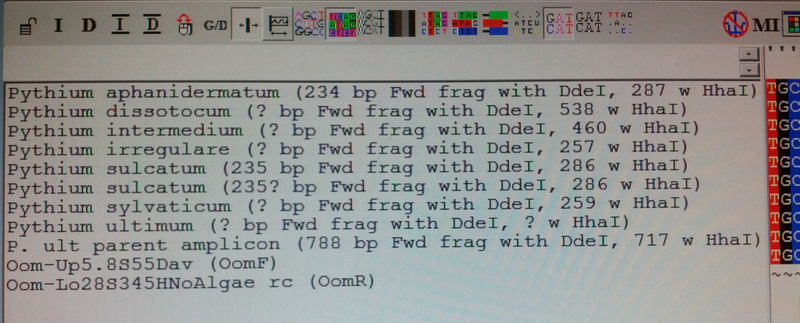 File:Pythium Enzyme In silico.tif
