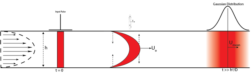 File:Taylor Dispersion image2.PNG