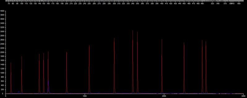 File:20110323 Frag RAJ-H.jpg