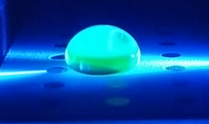 0.5 μg/mL Calf Thymus DNA