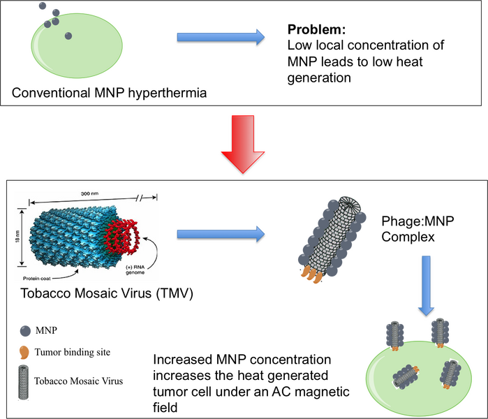 File:Updated flow.png