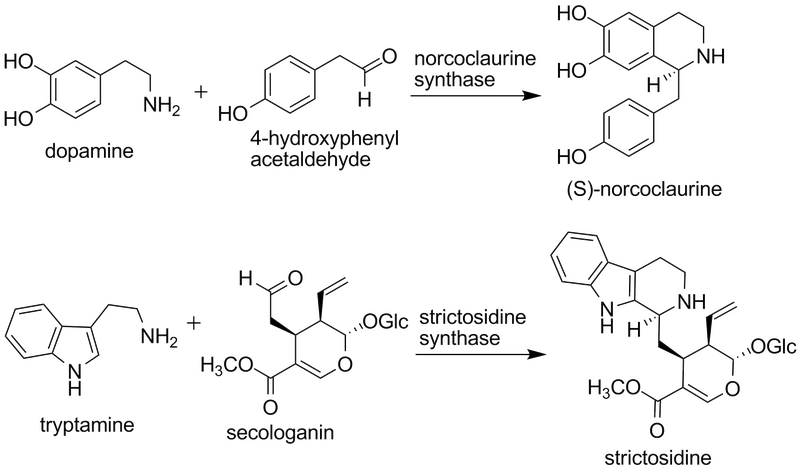 File:2007 Tanner Biochem.png
