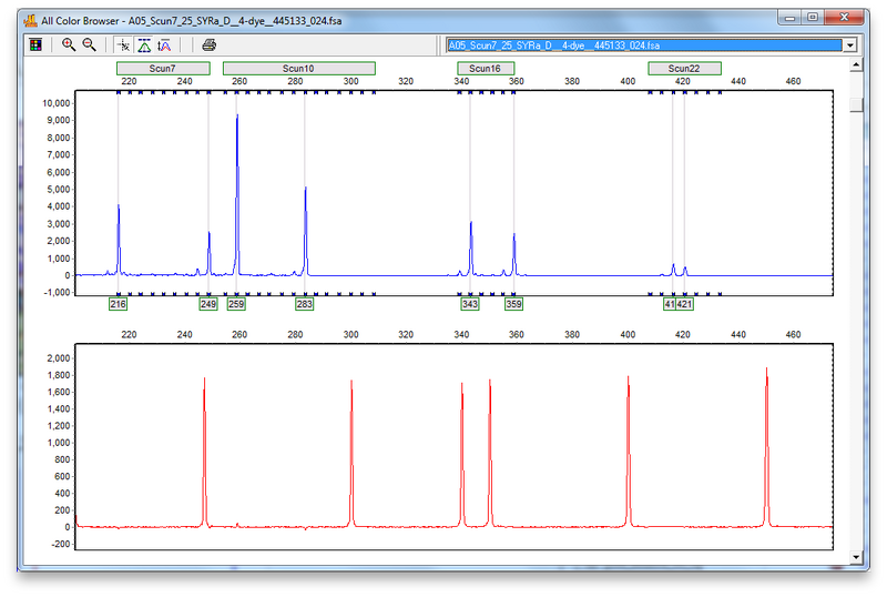 File:20111014 Frag3.png