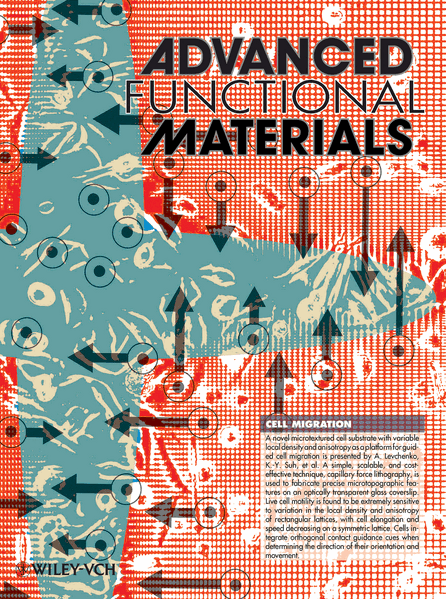 File:AdvFunMat 2009.gif