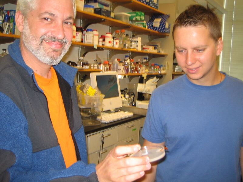 File:Macintosh HD-Users-nkuldell-Desktop-HMSbiolistics Stu.jpg