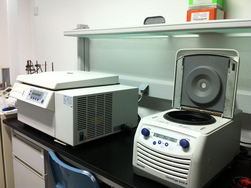 File:Xmu experiment1.jpg