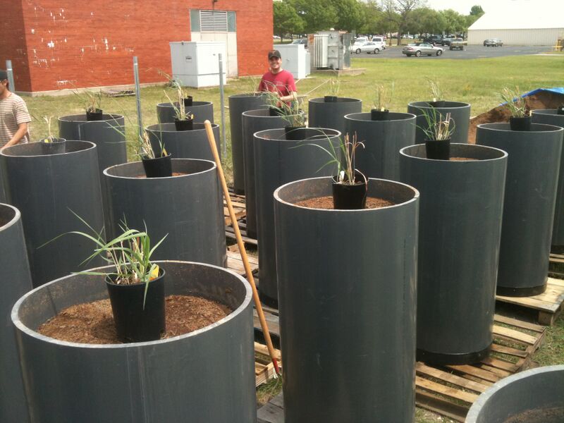 File:Pickle switch.JPG