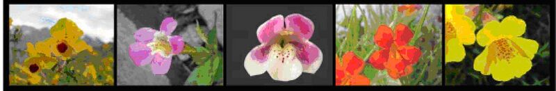 File:Arielle fig1.jpg