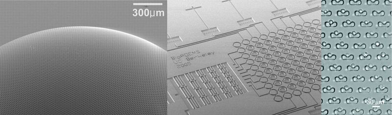 File:Biopoems newheader.jpg