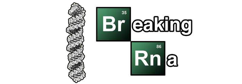 File:Bistable Ribose Logo.png