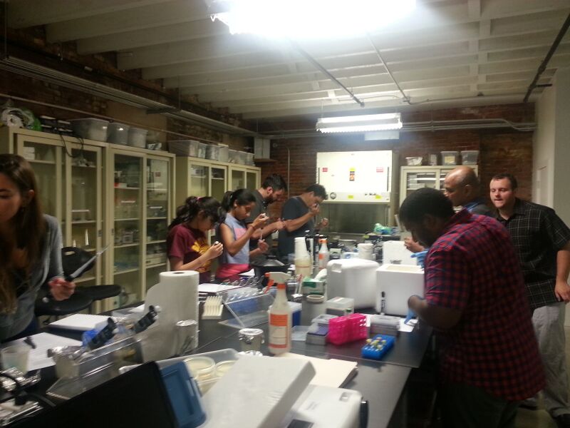 File:Build-a-Gene 2014 -1.jpg