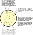 Thumbnail for version as of 13:44, 13 March 2008