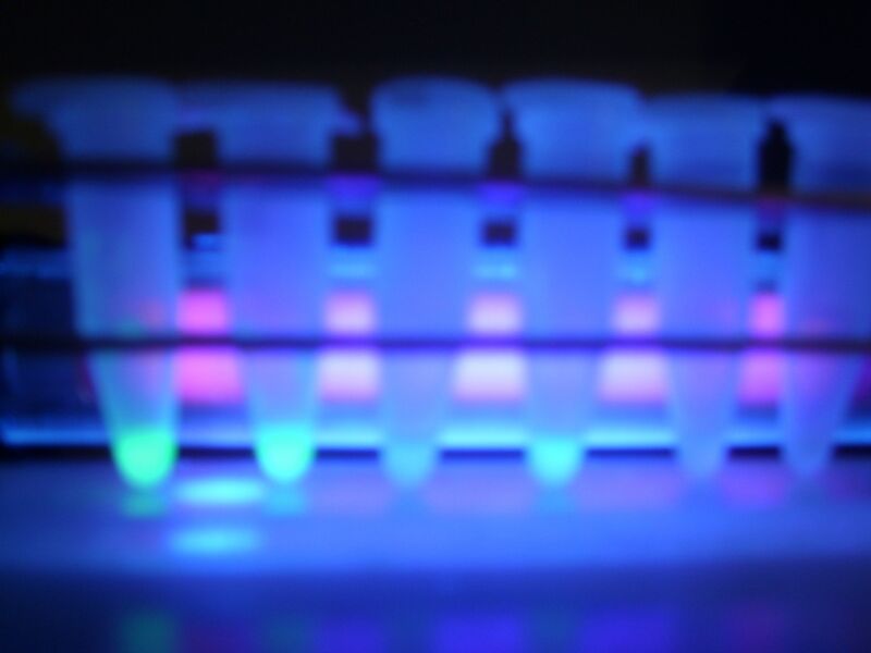 File:IC07 image142.jpg