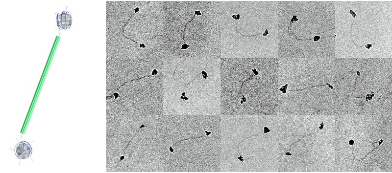 File:LMU Results.jpg
