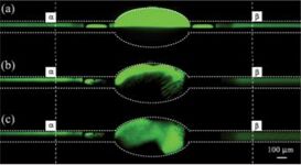 Figure 4. Flow pattern resulting from the mixing of 4 µm diameter beads inside a CSTR (center) at increasing mixing rates from a-c.[4]