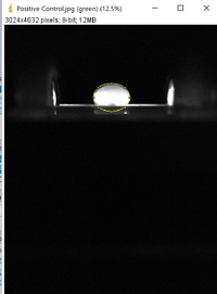 Name: PositiveG-2_Oval