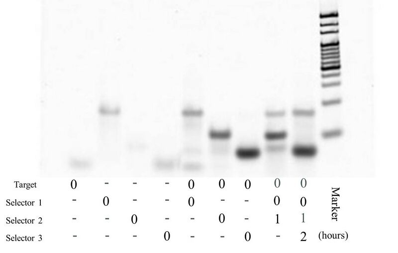 File:20120829 ②.jpg