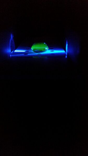 File:20151028 113409 (1).jpg