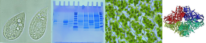 File:BI 141 wiki banner.png