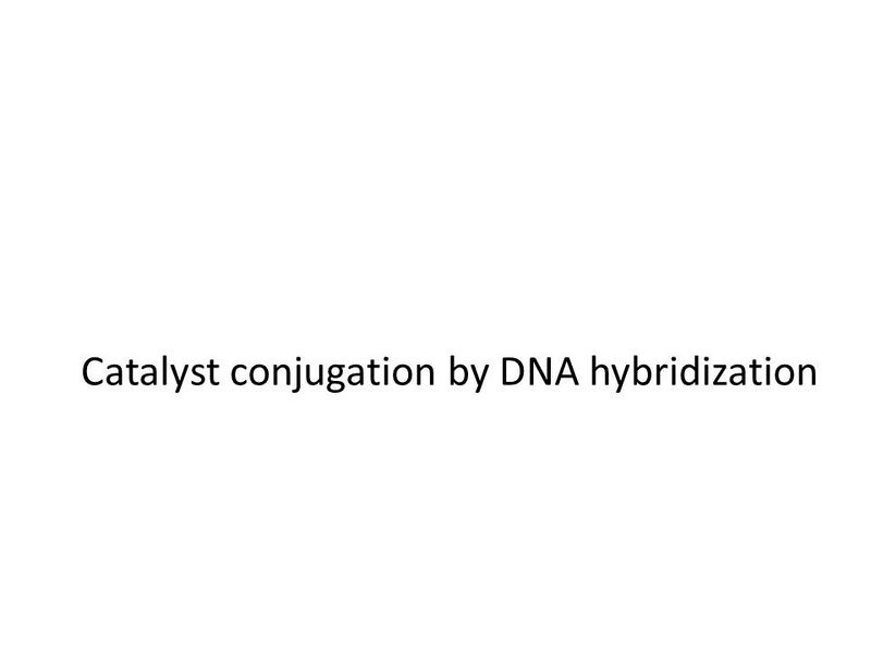 File:Catalyst conjugation.jpg
