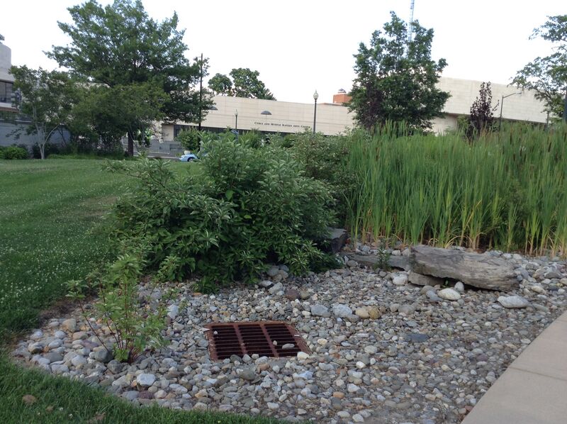 File:Chang Transect1Left.JPG