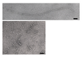 Thumbnail for version as of 12:52, 10 December 2006