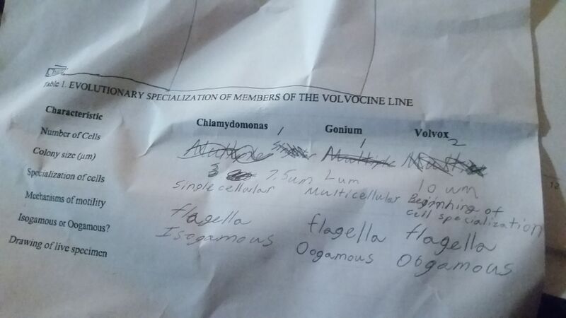 File:20160120 234925.jpg